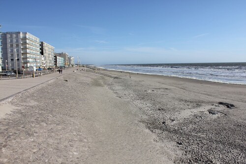 Situé au coeur d'une forêt  de pins dans un endroit très calme et verdoyant.