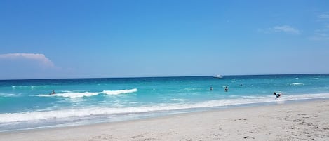 Nära stranden