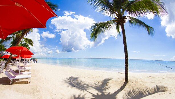 A beach with white lounge chairs and red umbrellas, palm trees, and a clear sky. - Awesome Apartament , Sea View, Swimming pool, In Boca Chica Apt 29 (Boca Chica (santo Domingo))