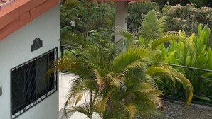 A building with a tiled roof, a window with a metal grill, and a view of the sunset over a forested landscape. - Villas Lambeau #1 Ocean View  - Fiber Optic / 1BR 1 BA (Uvita)