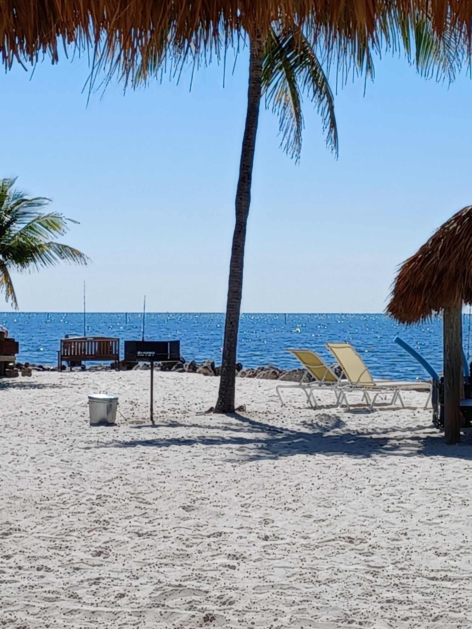 Una playa con palmeras, sillas de descanso y una estructura de techo de paja.