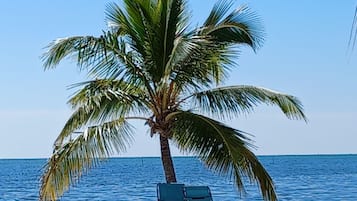 En la playa, camastros y toallas de playa