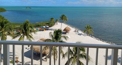 Direct Oceanfront End Unit, WiFi, Pool, Peaceful Location, Panoramic Views!