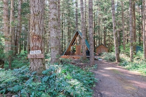 Exterior - Hidden Gem! Modern A-frame in wooded wonderland next to the Nisqually river  (Ashford)