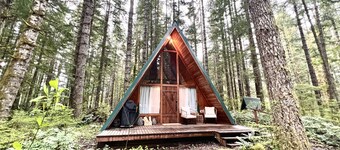 Hidden Gem! Modern A-frame in wooded wonderland