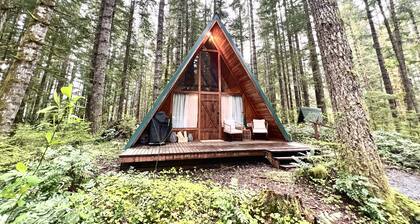 Uusi vuokraus! Moderni-runko metsäisten ihmemaassa
