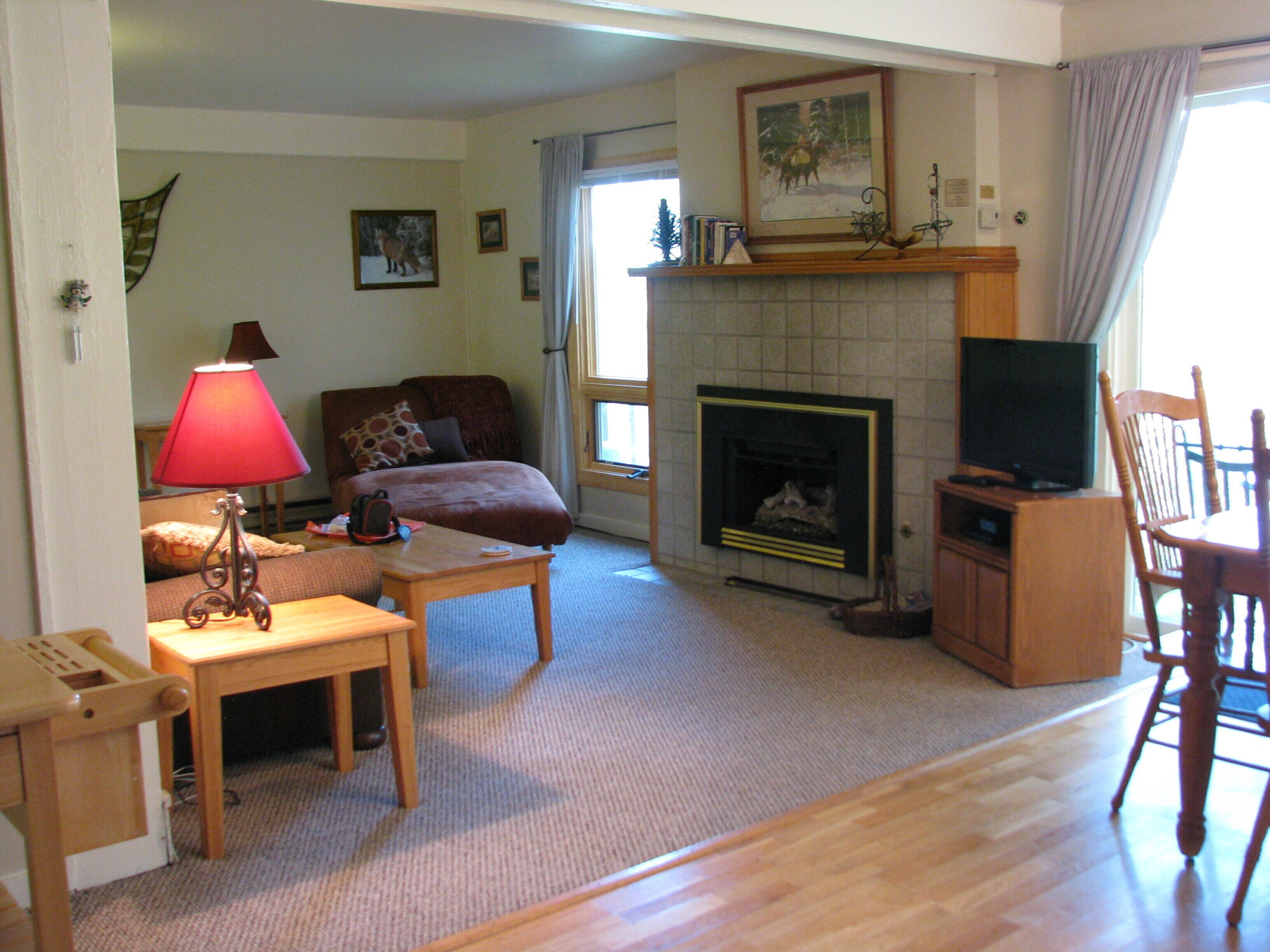 Smart TV, chimenea y reproductor de DVD 