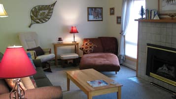 تلفزيون ذكي، مدفأة، مشغل دي في دي