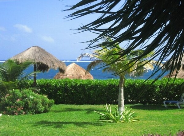 A tropical garden with a palm tree, thatched-roof structures, and a view of the ocean.