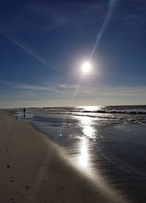 Accommodatie ligt op het strand, ligstoelen