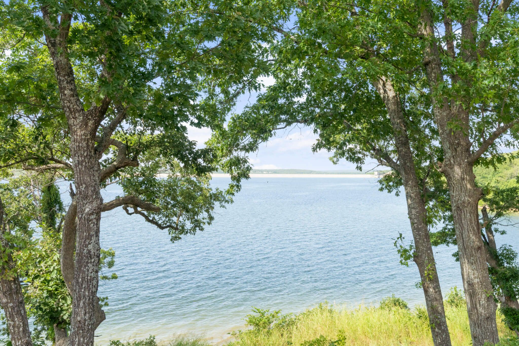 A natural landscape with trees framing a body of water.