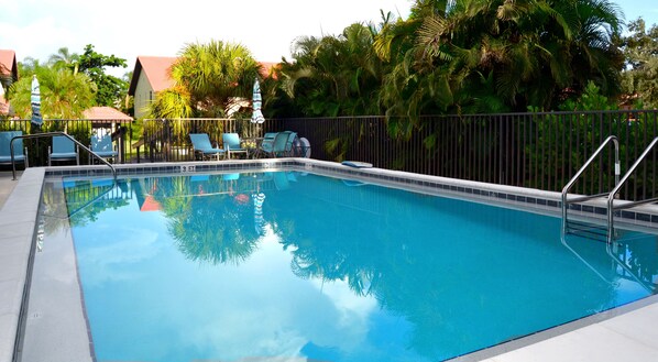 Ein Swimmingpool mit Liegestühlen und Sonnenschirmen, umgeben von Palmen und einem Zaun.
