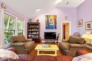 Een smart-tv, Netflix, een dvd-speler en boeken