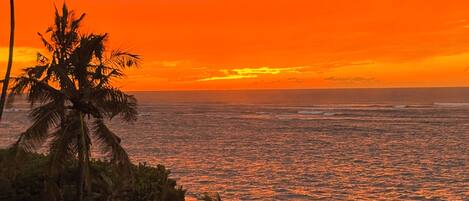Vista do pôr do sol sobre uma praia com palmeiras e uma cerca.