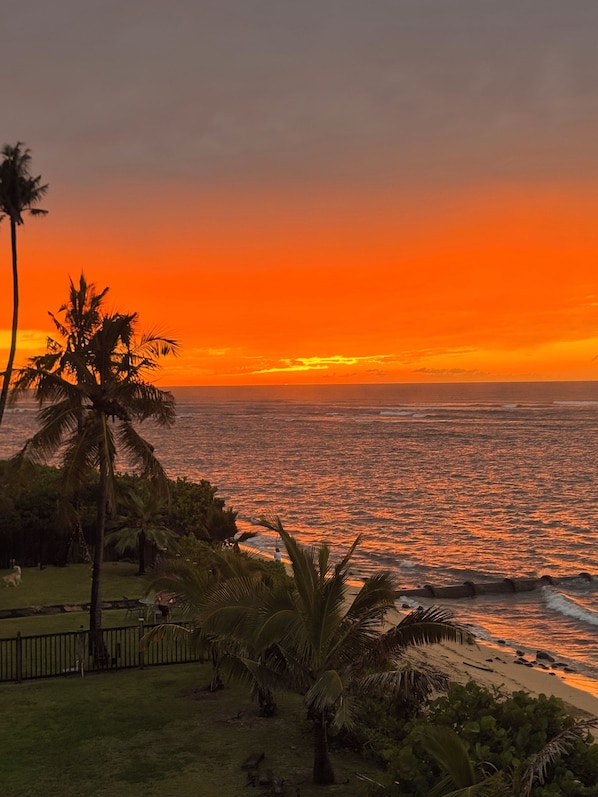 A sunset view over a beach with palm trees and a fence.
