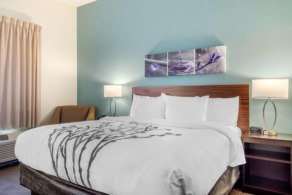 A hotel room with a large bed, two bedside lamps, a wooden headboard, and a wall-mounted artwork.