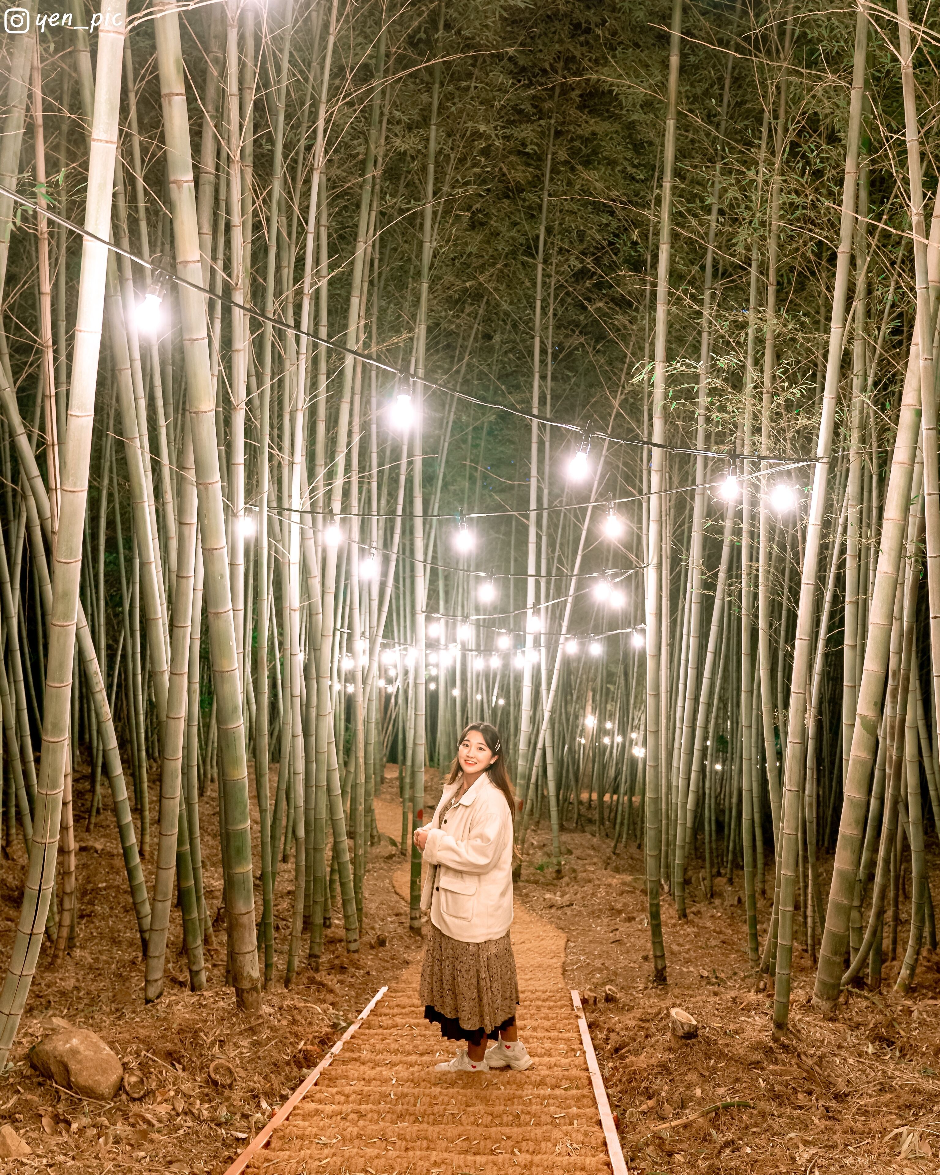 A person standing in a bamboo forest pathway with string lights overhead.