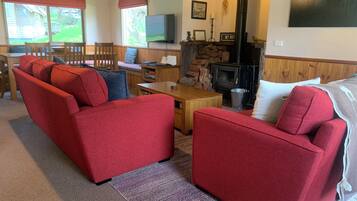 TV connectée, cheminée, lecteur de DVD, livres