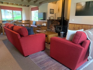 TV connectée, cheminée, lecteur de DVD, livres