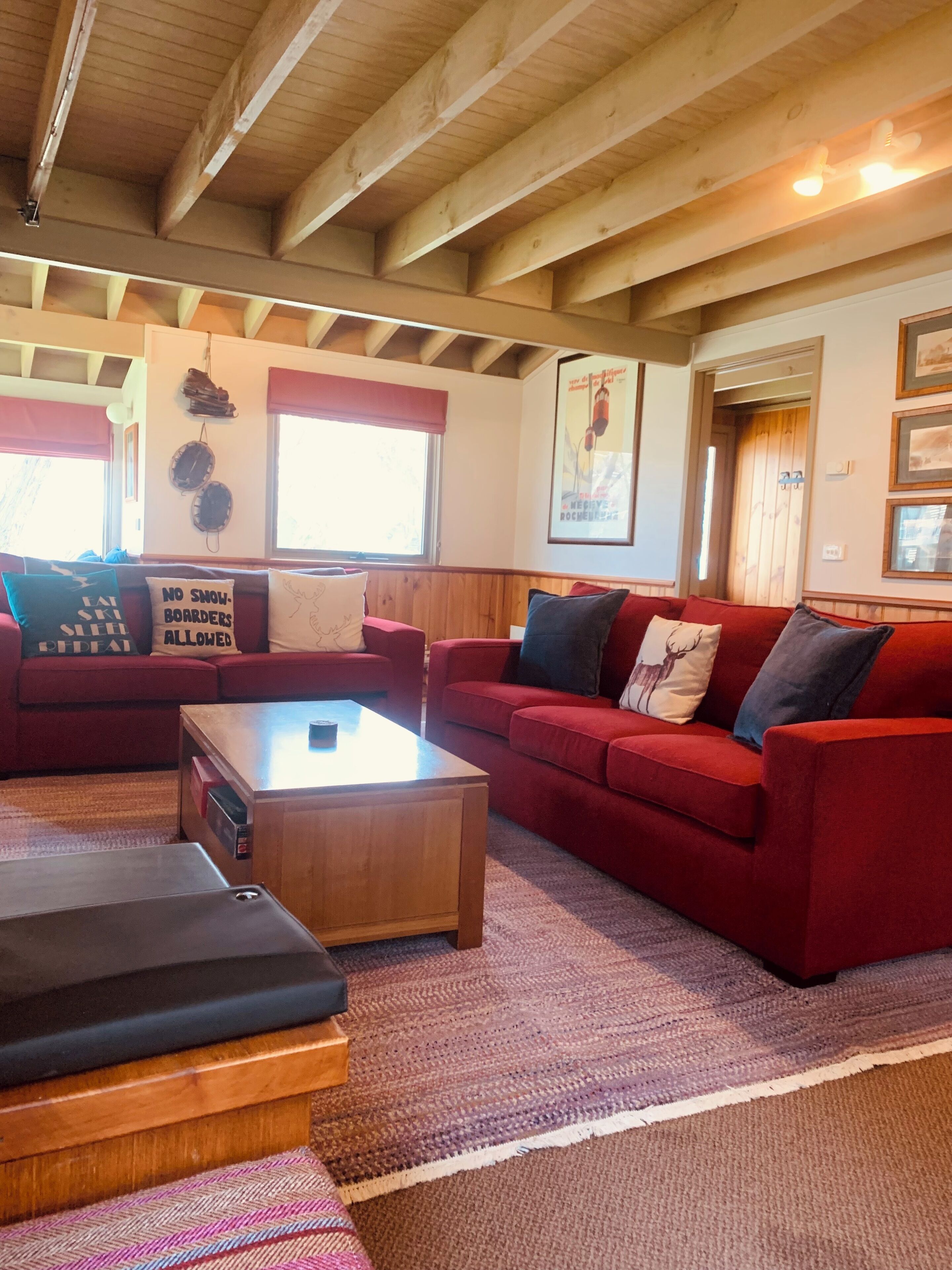 智能電視、壁爐、DVD 播放機、書籍