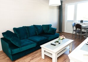TV, fireplace, video games, DVD player
