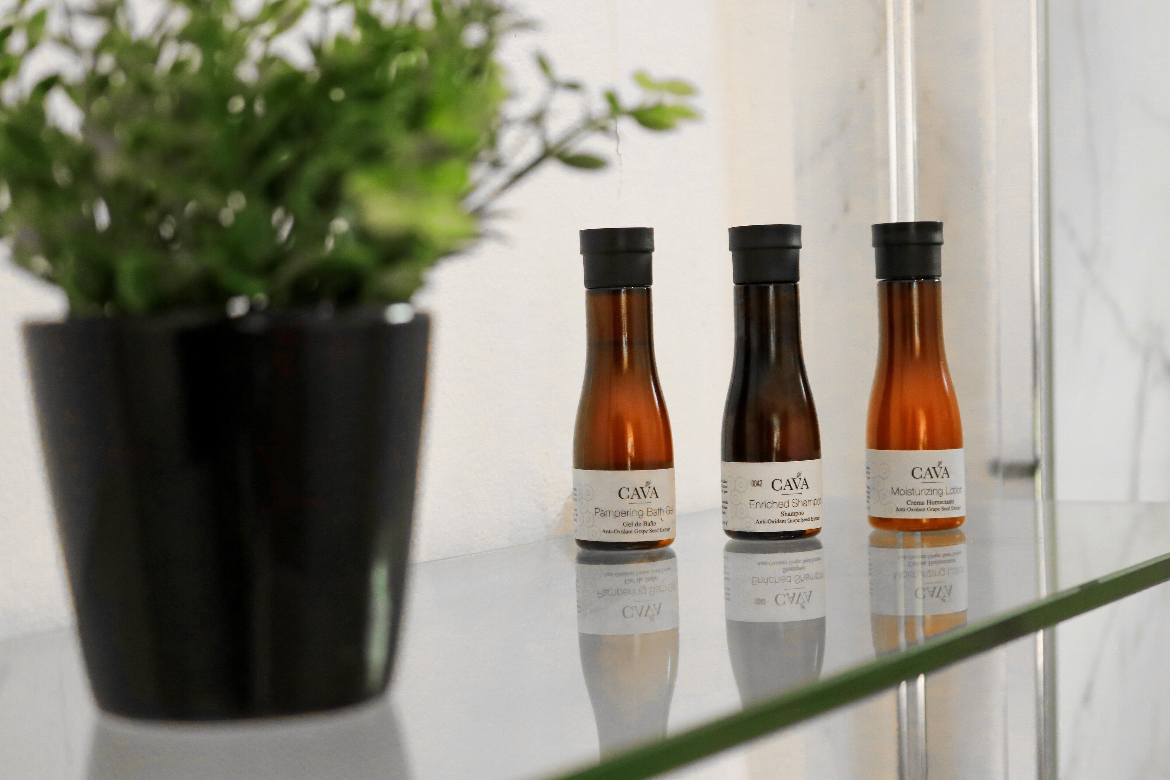 double room with garden view | bathroom amenities | shower, rainfall showerhead, free toiletries, towels