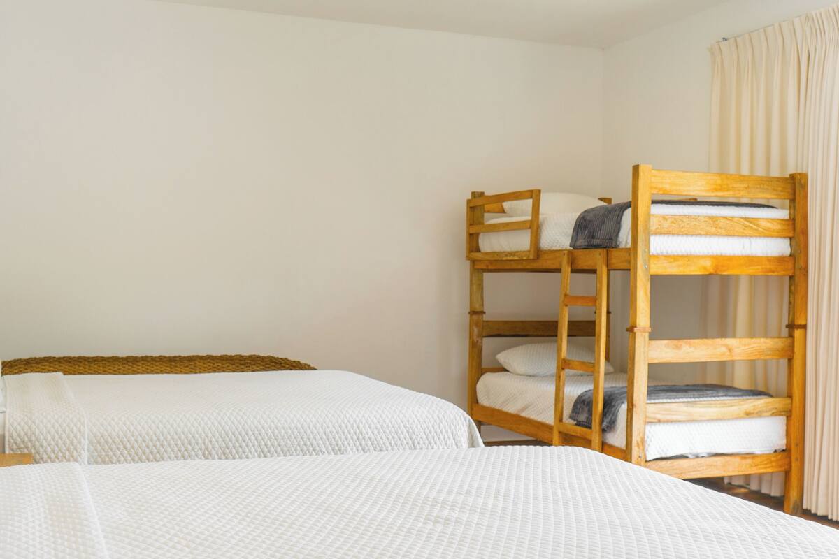 A room with bunk beds, a wooden ladder, and a white quilted bedspread.