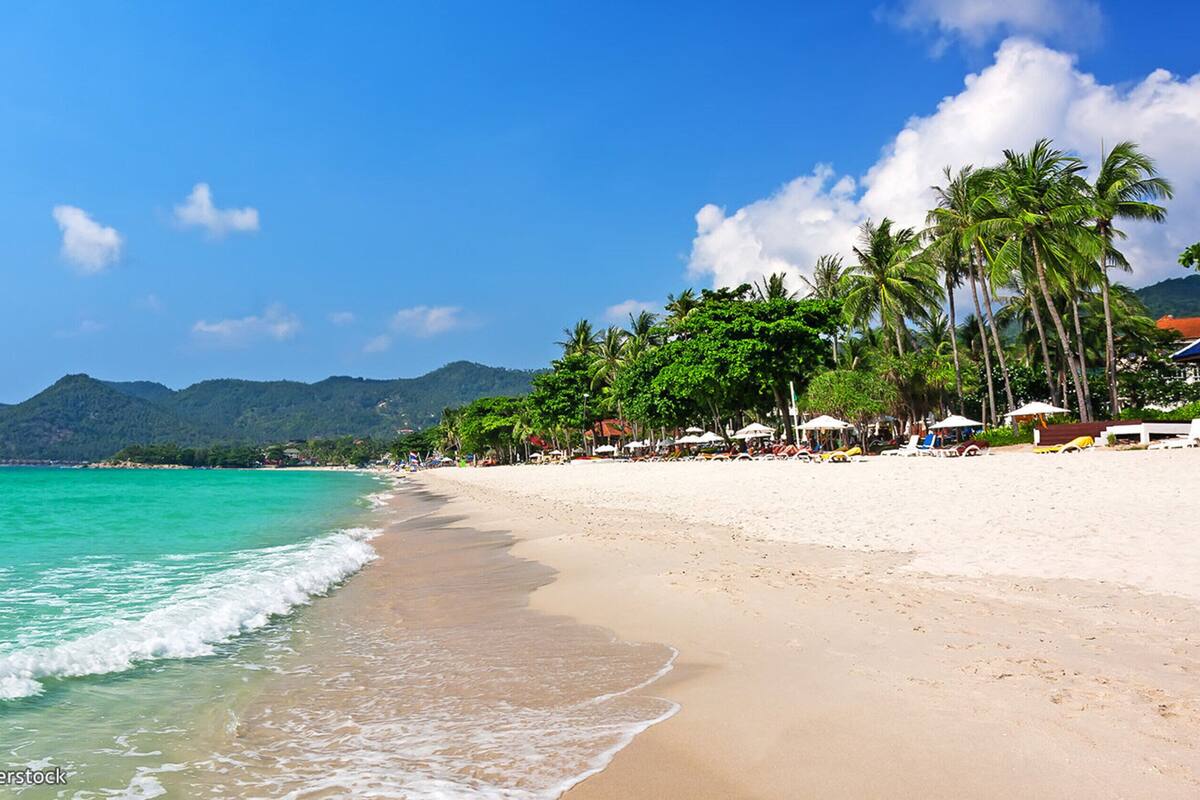 Una playa con aguas turquesas cristalinas, palmeras y montañas al fondo.