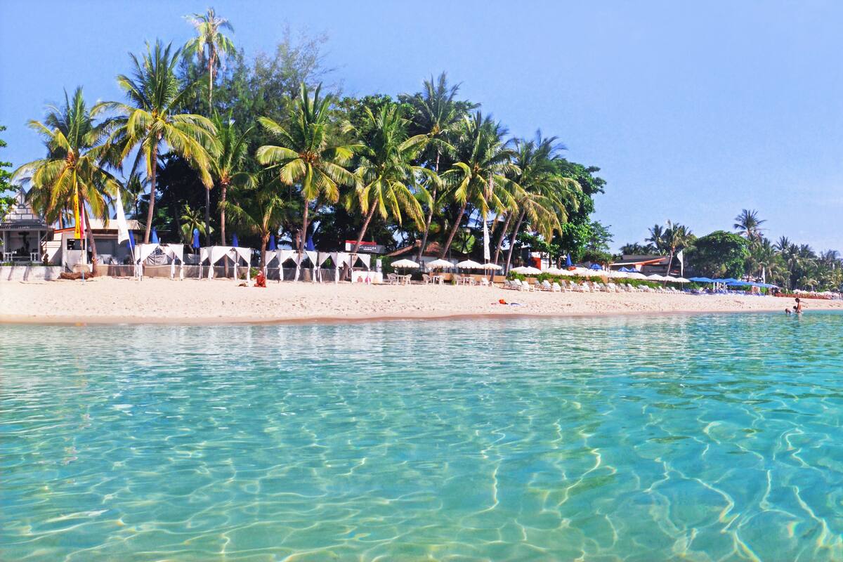 Una playa con agua turquesa cristalina, palmeras y sombrillas.