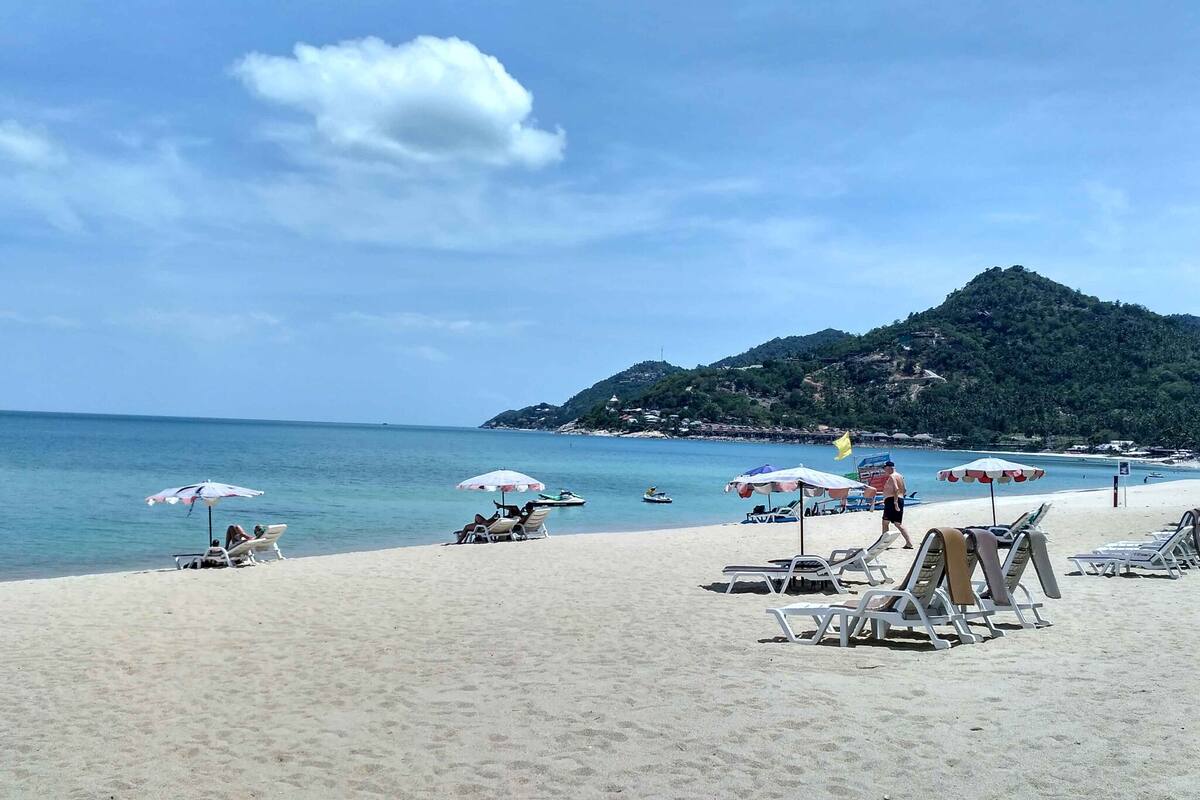 Una playa con tumbonas y sombrillas, cielo despejado y una montaña al fondo.