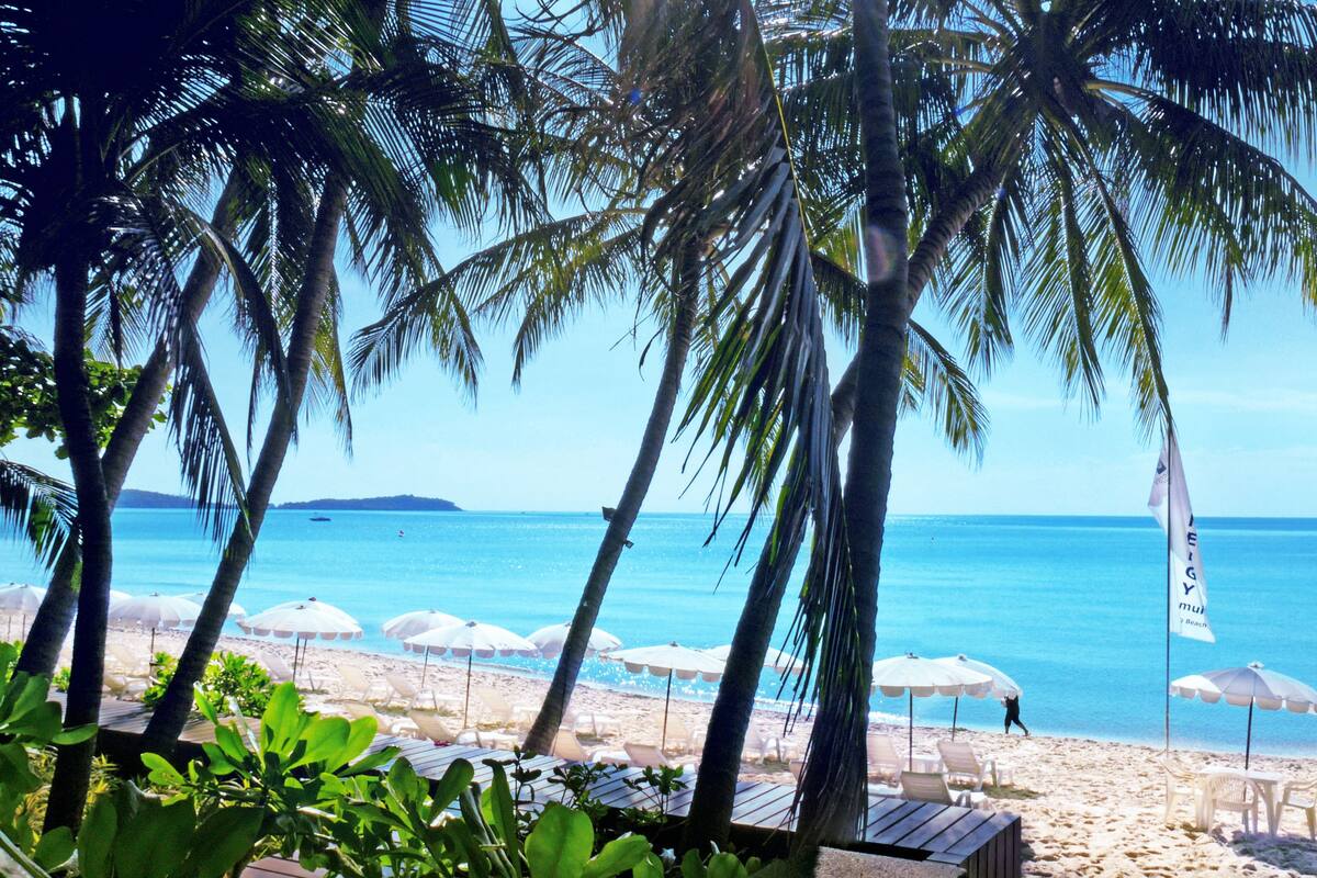 Una playa con palmeras, sombrillas y un letrero para un spa.