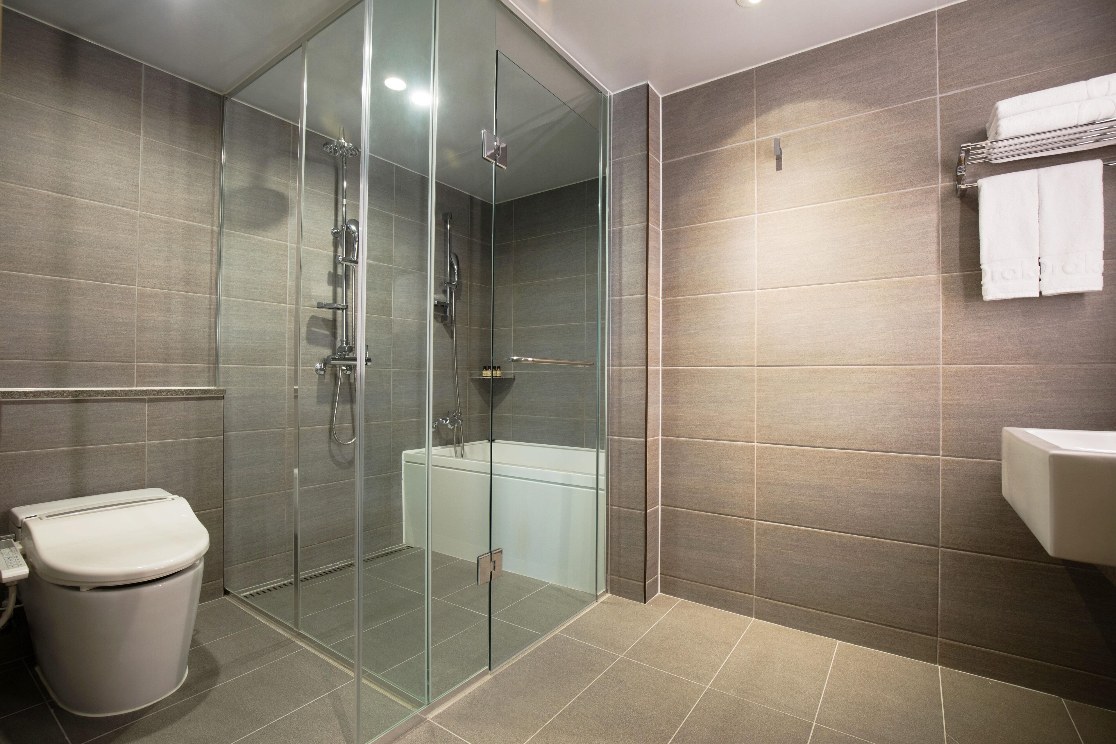 hair dryer, bathrobes, slippers, bidet