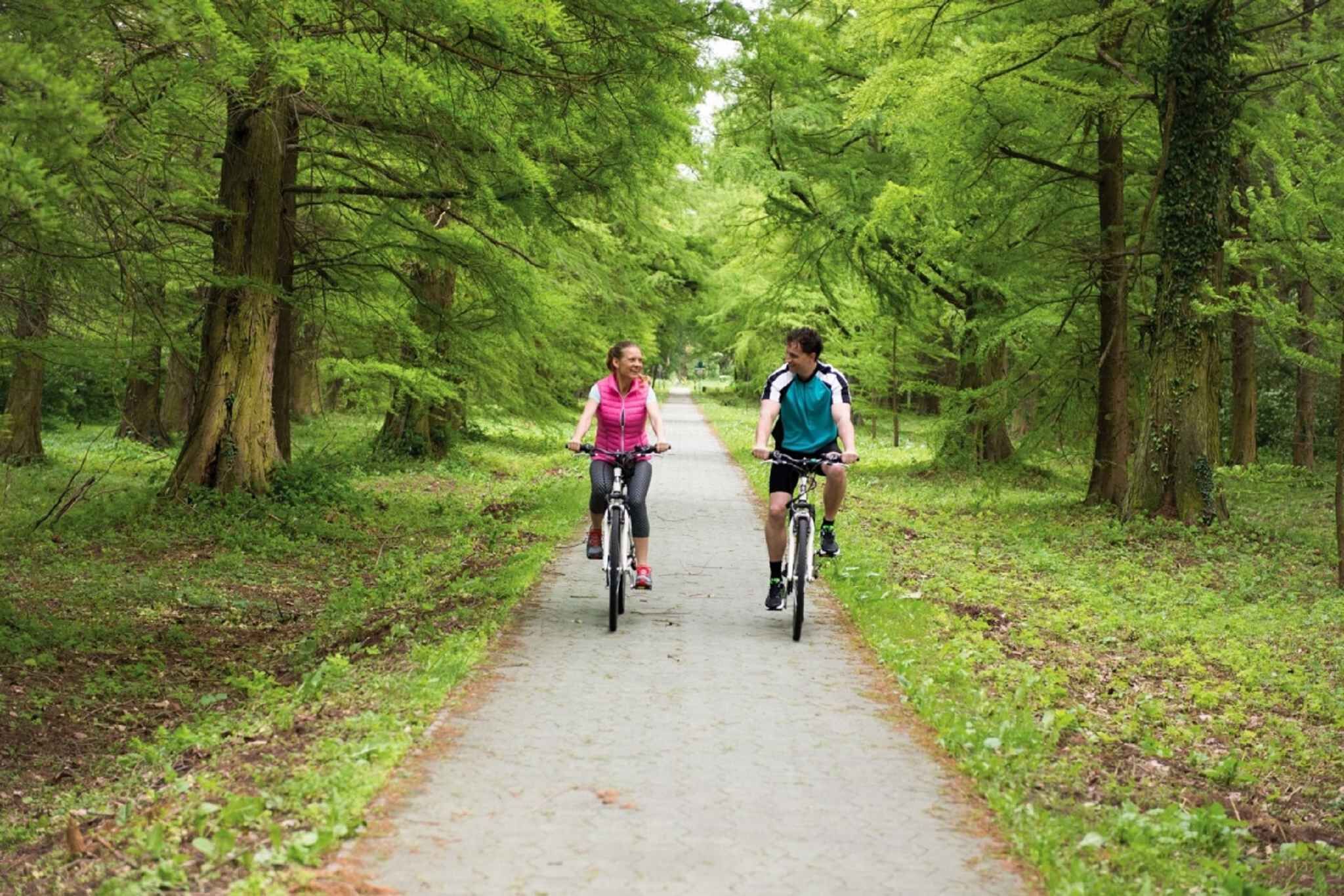 Dos personas pedaleando en bicicleta por un camino pavimentado rodeado de árboles verdes frondosos.