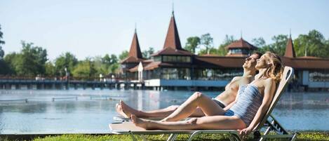 Jardines del alojamiento