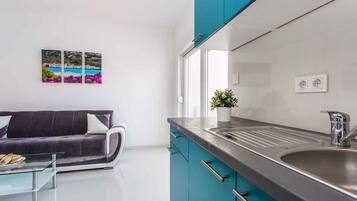 Fridge, oven, stovetop, coffee/tea maker