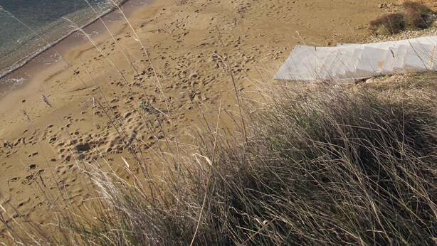 A beach with clear blue water, sandy shore, and some vegetation. - Holiday home Fully air-conditioned and modern (Privlaka)