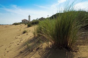 Playa en los alrededores 