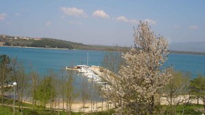 Eine Küstenansicht mit einem Yachthafen, Booten und einem Baum mit weißen Blüten.