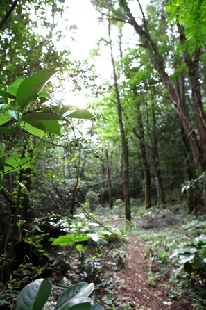 Ecotours