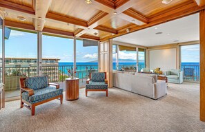 Televisio, DVD-soitin