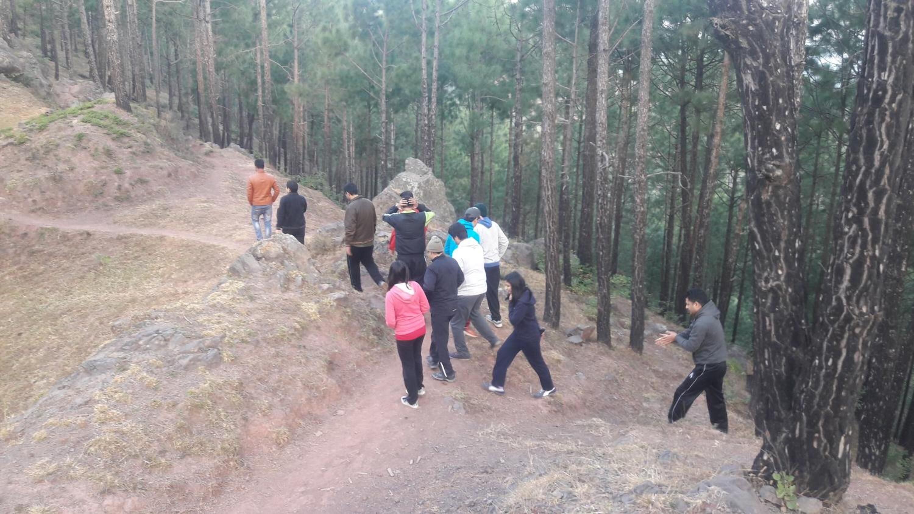 A group of people hiking on a forest trail.