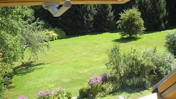 Vista al jardín
