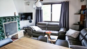 A living room with a sofa, a TV, a fireplace, and a bookshelf. - Ferienhaus Drebach (Drebach)