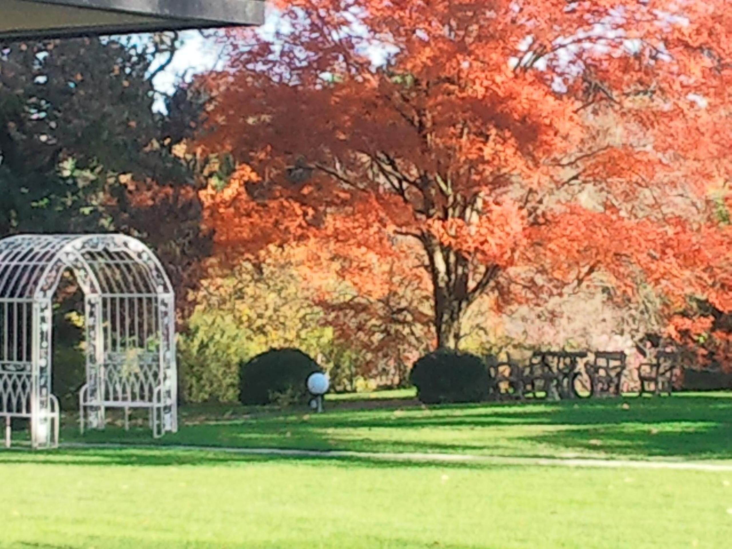 Ein Gartenpavillon in einem Park mit einem Baum, der Herbstlaub zeigt.