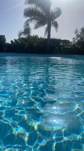 A clear pool with sunlight reflecting off the water, surrounded by palm trees and a fence. - Masseria Giamarra (Carpignano Salentino)