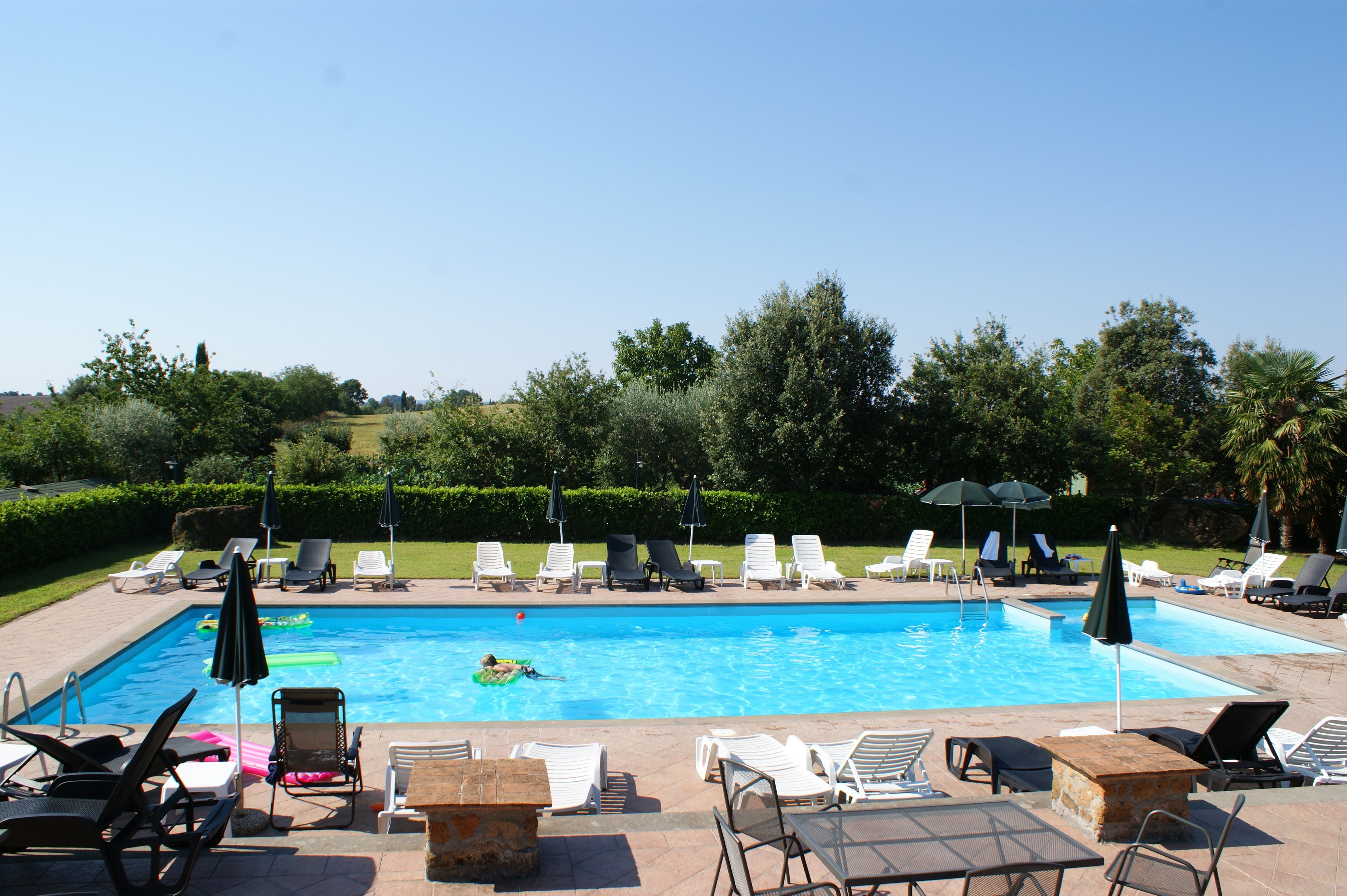 A swimming pool with lounge chairs and umbrellas, surrounded by greenery.