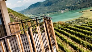 Een balkon met uitzicht op een wijngaard en een meer.