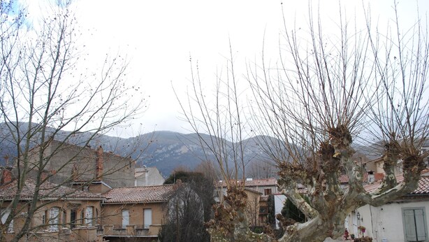 Zona residencial con edificios tradicionales, un árbol en primer plano y montañas al fondo.