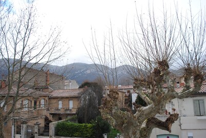 Nidelice