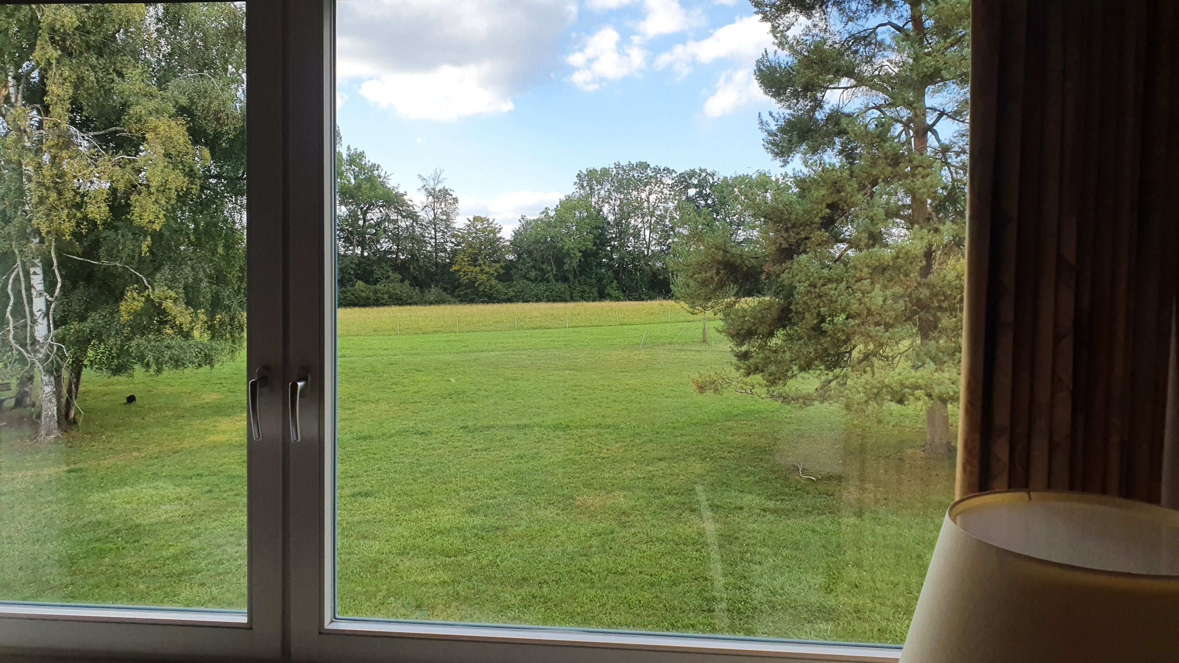Blick durch ein Fenster auf ein grasbewachsenes Feld mit Bäumen im Hintergrund.